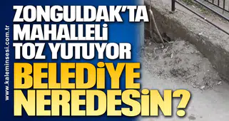 Zonguldak’ta Mahalleli Toz Yutuyor, Belediye Neredesin?