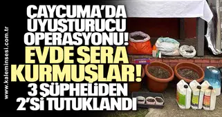 Çaycuma’da Uyuşturucu Operasyonu: Evde Sera Kurmuşlar