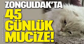 Zonguldak’ta 45 günlük mucize!