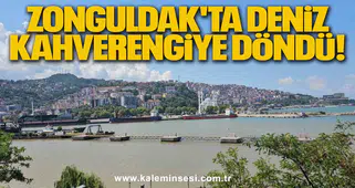 Zonguldak'ta Deniz Kahverengiye Döndü!