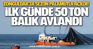 Zonguldak’ta Sezon Palamutla Açıldı! İlk Günde 50 Ton Balık Avlandı