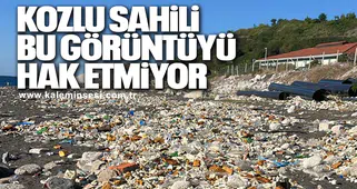 Kozlu Sahili’nde Kirlilik Alarmı: Denizden Gelen Atıklar Sahili Kapladı