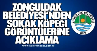 Zonguldak Belediyesi’nden Sokak Köpeği Görüntülerine Açıklama
