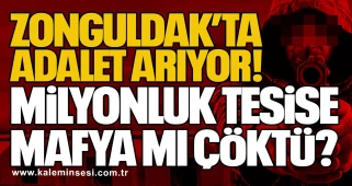 Zonguldak’ta Adalet Arıyor! Milyonluk tesise mafya mı çöktü!