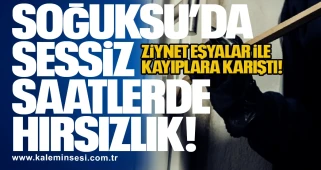Soğuksu’da Sessiz Saatlerde Hırsızlık!
