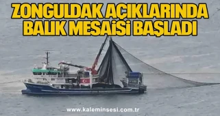 Zonguldak Açıklarında Balık Mesaisi Başladı