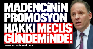 YAVUZYILMAZ, MADENCİNİN GASP EDİLEN PROMOSYON HAKKINI MECLİS GÜNDEMİNE TAŞIDI!