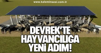 Devrek’te Hayvancılığa Yeni Adım...