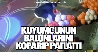 Kuyumcunun Balonlarını Koparıp Patlattı
