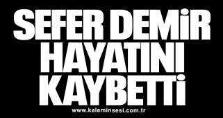 Sefer Demir hayatını kaybetti