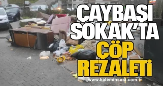 Zonguldak İncivez Mahallesi Çaybaşı Sokak’ta Çöp Rezaleti