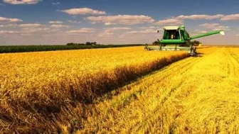 Çiftçilere Önemli Uyarı: ÇKS Başvuruları Başladı