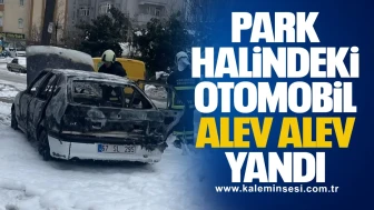 Park Halindeki Otomobil Alev Alev Yandı