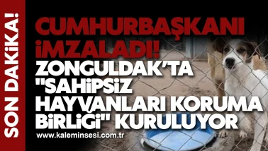 Cumhurbaşkanı İmzaladı! Zonguldak’ta "Sahipsiz Hayvanları Koruma Birliği" Kuruluyor