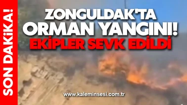 Zonguldak'ta orman yangını! Ekipler sevk edildi