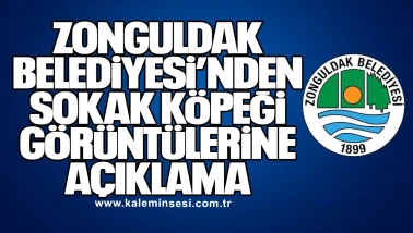 Zonguldak Belediyesi’nden Sokak Köpeği Görüntülerine Açıklama