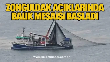 Zonguldak Açıklarında Balık Mesaisi Başladı