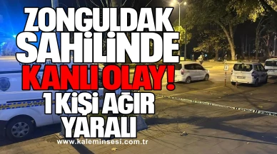 Zonguldak Sahilinde Kanlı Olay: 1 Kişi Ağır Yaralı