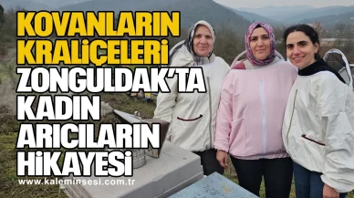 Kovanların Kraliçeleri: Zonguldak’ta Kadın Arıcıların Hikâyesi