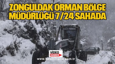 Zonguldak Orman Bölge Müdürlüğü 7/24 Sahada