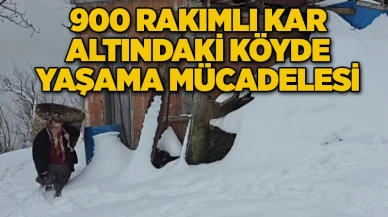 900 rakımlı kar altındaki köyde yaşama mücadelesi