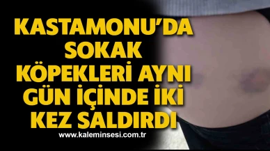 Kastamonu’da sokak köpekleri aynı gün içinde iki kez saldırdı