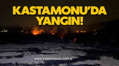 Kastamonu’da yangın!