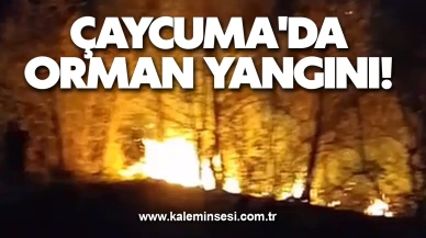 Çaycuma'da orman yangını!