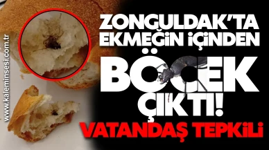 ZONGULDAK’TA EKMEĞİN İÇİNDEN BÖCEK ÇIKTI! VATANDAŞ TEPKİLİ