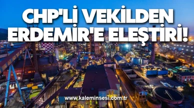 CHP'li vekilden Erdemir'e eleştiri!