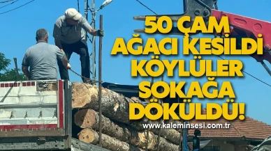 "Çam Ağaçlarının Kesilmesiyle Köylüler Sokağa Döküldü!"