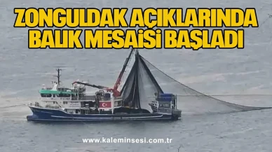 Zonguldak Açıklarında Balık Mesaisi Başladı