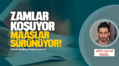 Zamlar Koşuyor, Maaşlar Sürünüyor