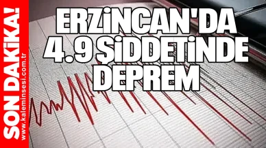 Erzincan'da 4.9 şiddetinde deprem