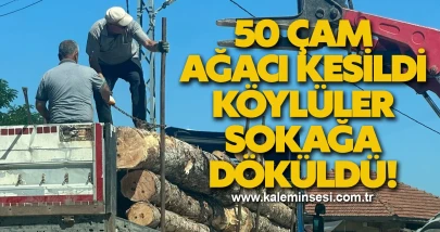 "Çam Ağaçlarının Kesilmesiyle Köylüler Sokağa Döküldü!"