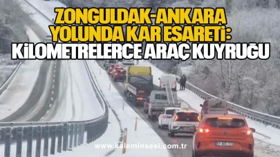 Zonguldak-Ankara Yolunda Kar Esareti: Kilometrelerce Araç Kuyruğu