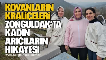Kovanların Kraliçeleri: Zonguldak’ta Kadın Arıcıların Hikâyesi