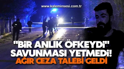 Mezarlık cinayetinde ağırlaştırılmış müebbet talebi