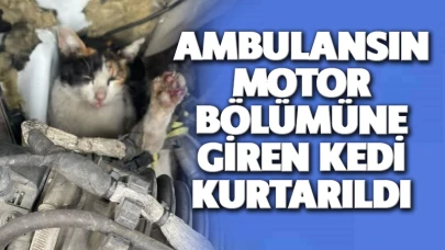 Ambulansın motor bölümüne giren kedi kurtarıldı