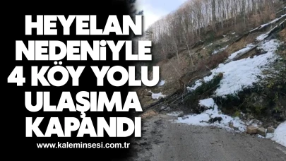 Kastamonu’da heyelan nedeniyle 4 köy yolu ulaşıma kapandı