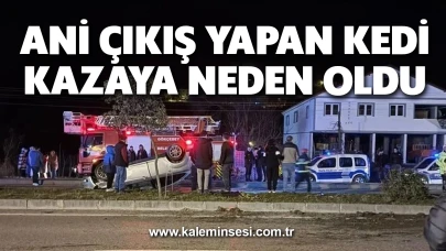 Ani Çıkış Yapan Kedi Kazaya Neden Oldu: 2 Yaralı