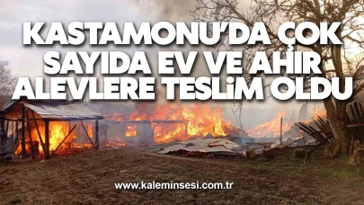Kastamonu’da çok sayıda ev ve ahır alevlere teslim oldu