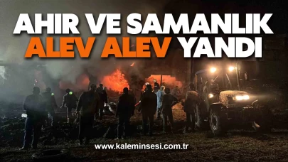 Ahır ve samanlık alev alev yandı