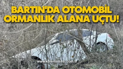 Bartın'da Otomobil Ormanlık Alana Uçtu!