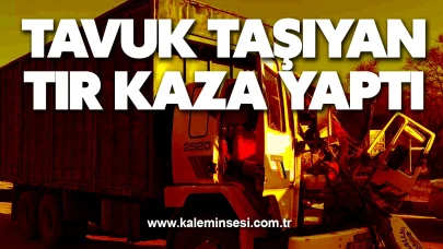 Tavuk taşıyan tır kaza yaptı