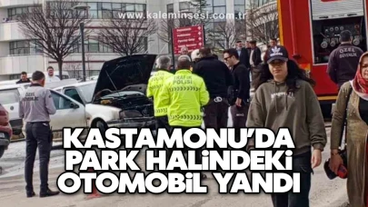Kastamonu'da Park Halindeki Araçta Yangın Çıktı