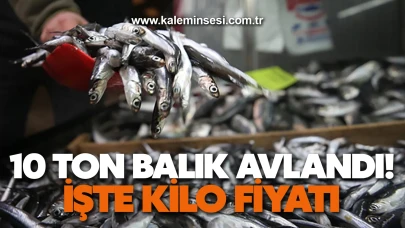 10 Ton Balık Avlandı! İŞTE KİLO FİYATI
