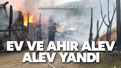 Ev ve ahır alev alev yandı