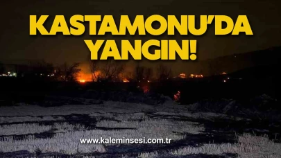Kastamonu’da yangın!