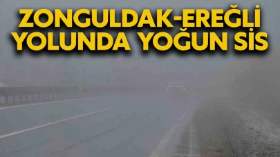 Zonguldak-Ereğli yolunda yoğun sis
